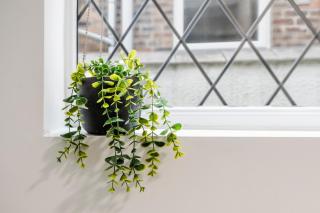 FREE parking, LARGE House for Contractors & Families, Sleeps 7, 25 mins to ALTON TOWERS - 5