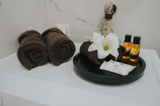 TheLuxPenthouseBugojno - 5