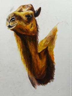 Dar Shaden hostel - Mascate - 7