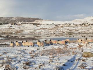 The Loch Erisort - 6