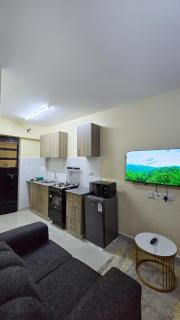Scenic fully furnished City View Studio Apartment - 4