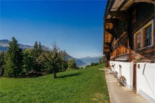 Gemütliche Wohnungen in 300-jährigem Chalet - 7