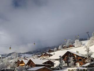 Gemütliche Wohnungen in 300-jährigem Chalet - 4