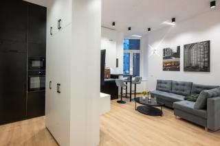 Boutique Glass Apartment by Fengshui4u - centrum Łodzi - 9