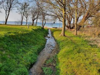 Luxury Retreat by the Sea - By Traum Ferienwohnungen - 5