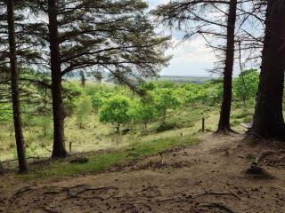 8 person holiday home in Brovst-By Traum - 9