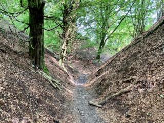 8 person holiday home in Brovst-By Traum - 7