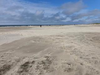 Seaside Serenity in Blokhus-By Traum - 6