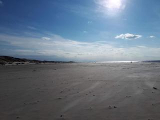 Seaside Serenity in Blokhus-By Traum - 5