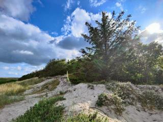 9 person holiday home in Hals-By Traum - 2