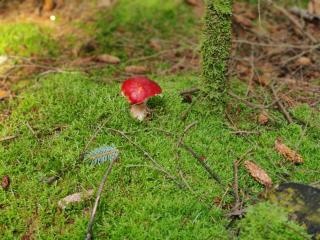 8 person holiday home in Ålbæk - 7