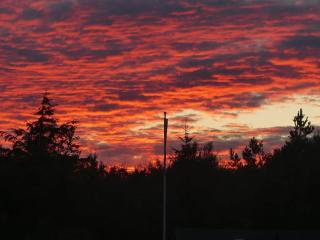 8 person holiday home in Ålbæk - 5