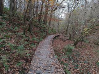 16 person holiday home in Brovst-By Traum - 4