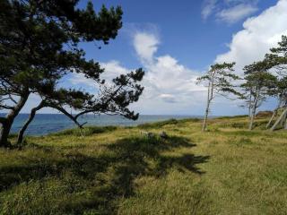 5 person holiday home in Gilleleje-By Traum - 9