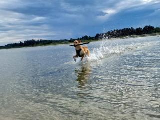 8 person holiday home in Hadsund-By Traum - 3