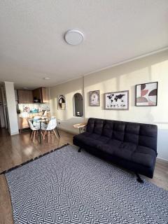 Apartamento Concepción Silencioso - 6