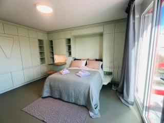 Modern Living, Luxe Apartment Zurich - 1