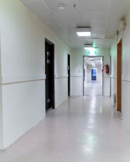 Senja Fjord Lodge - 2