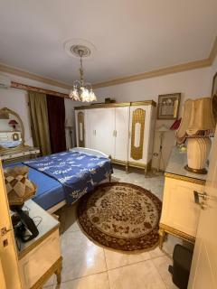 شقه فندقيه امام سيتي ستارز - 1