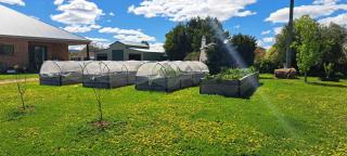 Heartland cottage - 4