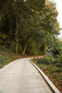 Sweet Lil Casita Puget Sound Hideaway - 5