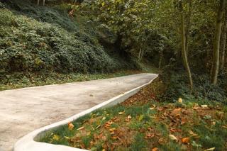 Sweet Lil Casita Puget Sound Hideaway - 2