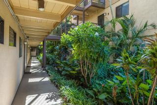 Oceanfront Bliss Pool & Stunning Views Hono Kai C3 - 2