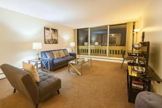 2BR Downtown apt Amazing View Free Parking & Gym - 6