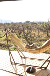 柿畑の宿 Private stay with farm and house all to yourself - 9