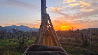 柿畑の宿 Private stay with farm and house all to yourself - 8