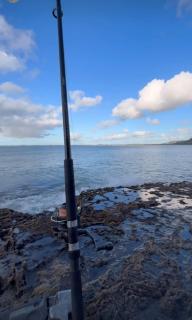 Kiwi Bach - Beachfront & Sunsets - 3