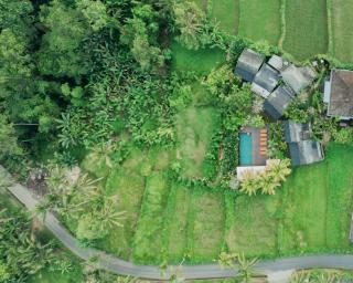 Villa Tegal Tis Ubud - 4