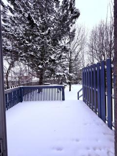 Cozy Belleville Retreat Near DT & Waterfront - 2