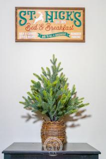 Charming Muenster 1BR Balcony, Patio & Views - 4