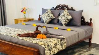 Taprobana Island Bliss - 1