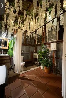 Glamping at Deer Camp - 5