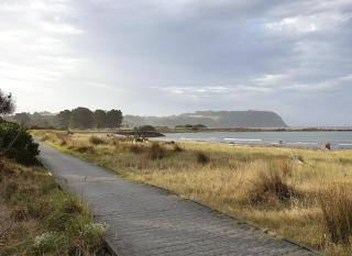 Stay - East Wynyard Beach - 9