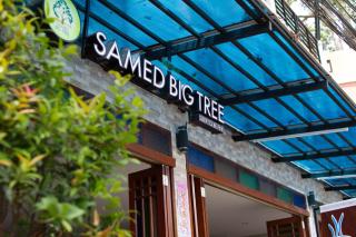 Samed Big Tree - 8