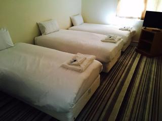 The Tudor House Hotel - 3