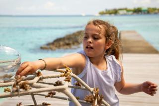 Sheraton Maldives Full Moon Resort & Spa - 9