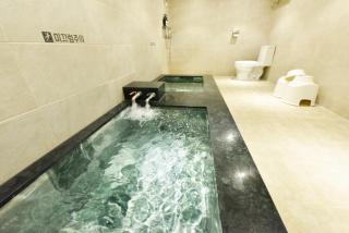Busan Nokcheon Hot Spring Hotel - 0