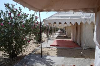 Raj Dunes Resort- Sam Jaisalmer - 8