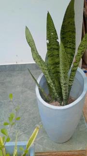 Grandmila Resort - 8