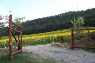 Appartamenti con cucina nelle colline toscane - 7