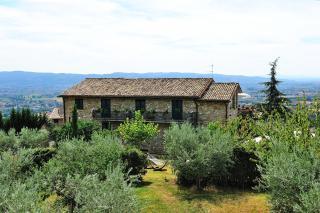 Colle Degli Olivi snc - Asís - 4