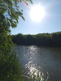 Escapada ideal privada y cerca del Rio Con todo - 6