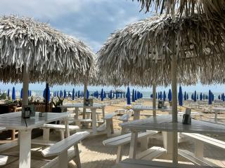 Paradise house & garden - 1