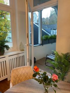 ApartRoß in Villa Eichbaum, zentrale Lage Bummelallee - 2