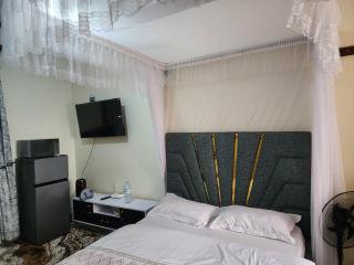 A cozy nice place near Kampala city - 4