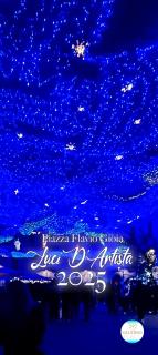 Salerno Place - Design House - 9